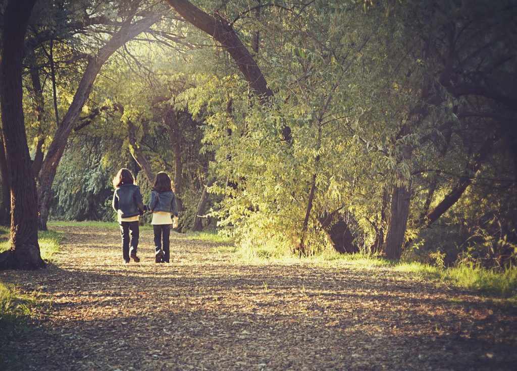 People walking on a park path among trees